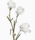 Mini Carnation