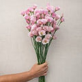 Lisianthus